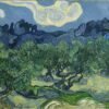 Vincent van Gogh's Olive Tree