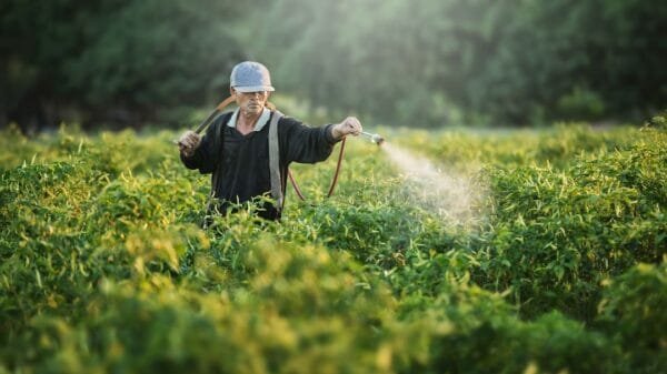 Sustainable Nutrition and Regenerative Farming