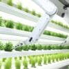 Vertical Farming and Smart Greenhouses